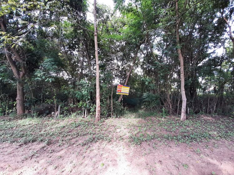 💖 ที่ดิน เมืองขอนแก่น ราคาพิเศษ! 💖