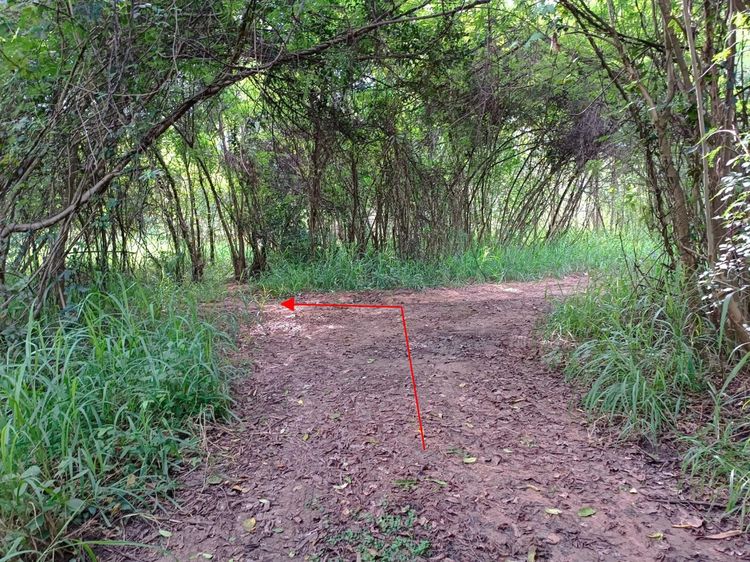 āđāļāđ ð āļāļĩāđāļāļīāļ āđāļĄāļ·āļāļāļāļāļāđāļāđāļ āļĢāļēāļāļēāļāļīāđāļĻāļĐ! ð āļĢāļđāļāļāļĩāđ 3