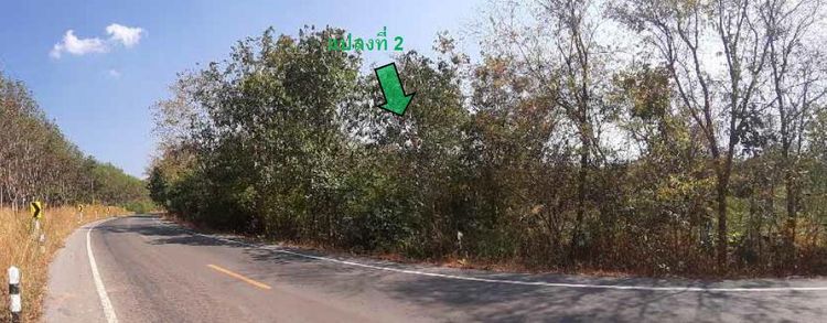 ใช่ 💖 ที่ดิน วังสะพุง ราคาพิเศษ! 💖 รูปที่ 2