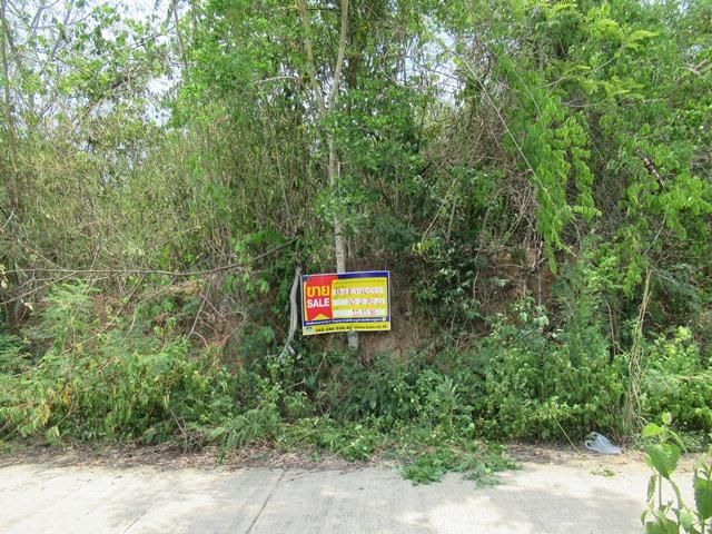 ใช่ 💖 ที่ดิน เมืองเลย ราคาพิเศษ! 💖 รูปที่ 2