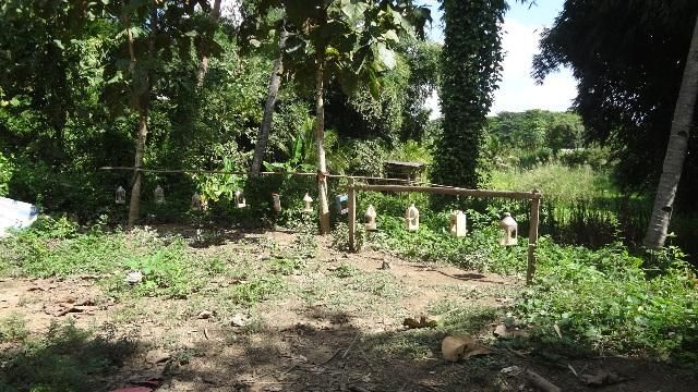 ใช่ 💖 ที่ดิน แจ้ห่ม ราคาพิเศษ! 💖 รูปที่ 4