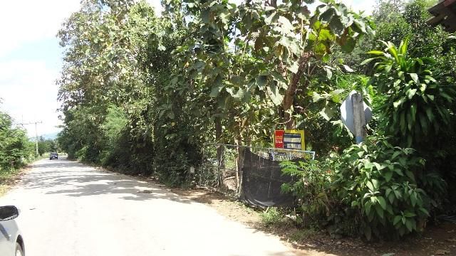 💖 ที่ดิน แจ้ห่ม ราคาพิเศษ! 💖