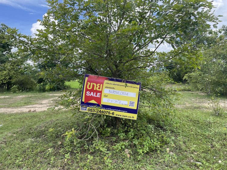 ใช่ 💟 ที่ดินเปล่า โครงการร่มฉัตรภูวิว ลำพูน 💟 รูปที่ 2