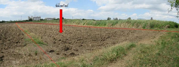 ใช่ 💖 ที่ดิน กำแพงแสน ราคาพิเศษ! 💖 รูปที่ 4