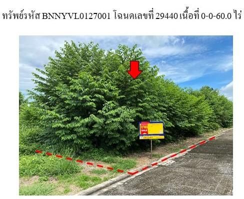 ใช่ 💖 ที่ดิน เมืองนครนายก ราคาพิเศษ! 💖 รูปที่ 4