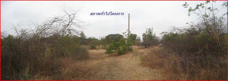 ใช่ 💖 ที่ดิน เมืองนครราชสีมา ราคาพิเศษ! 💖 รูปที่ 4