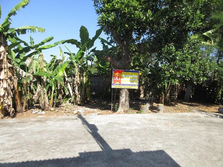 💖 ที่ดิน โชคชัย ราคาพิเศษ! 💖