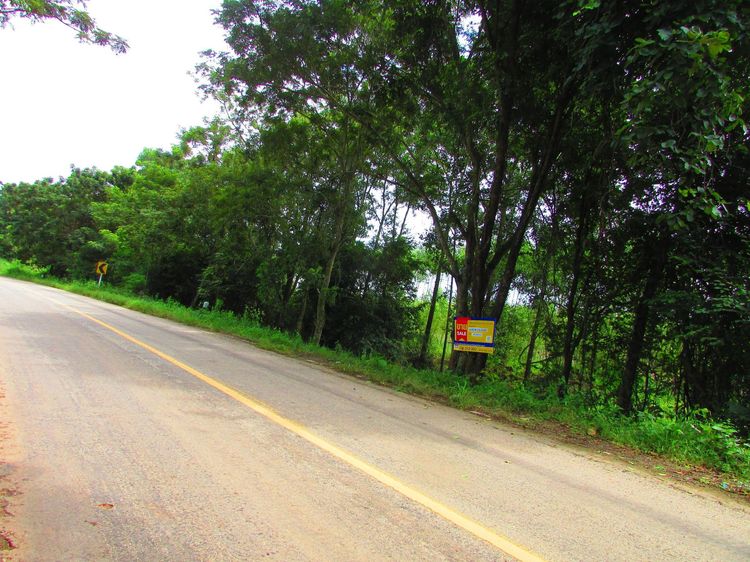 ใช่ 💖 ที่ดิน นาดี ราคาพิเศษ! 💖