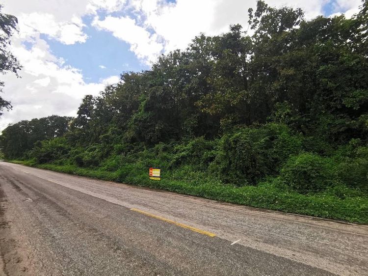 💖 ที่ดิน วังชิ้น ราคาพิเศษ! 💖