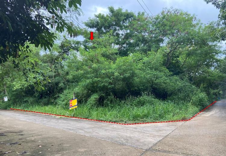 ใช่ 💖 ที่ดิน แกลง ราคาพิเศษ! 💖 รูปที่ 2