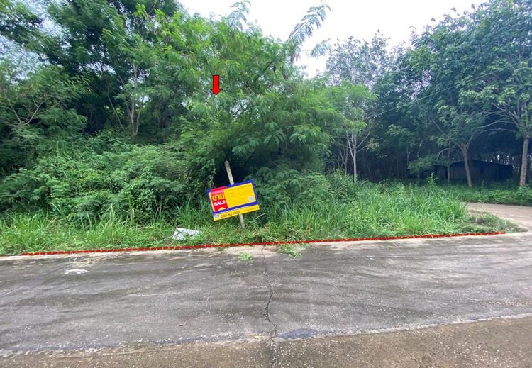 ใช่ 💖 ที่ดิน แกลง ราคาพิเศษ! 💖