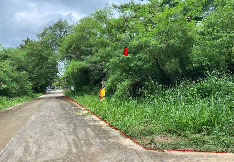 ใช่ 💖 ที่ดิน แกลง ราคาพิเศษ! 💖 รูปที่ 3