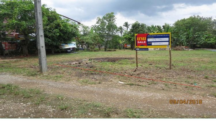 💖 ที่ดิน เมืองสุราษฎร์ธานี ราคาพิเศษ! 💖