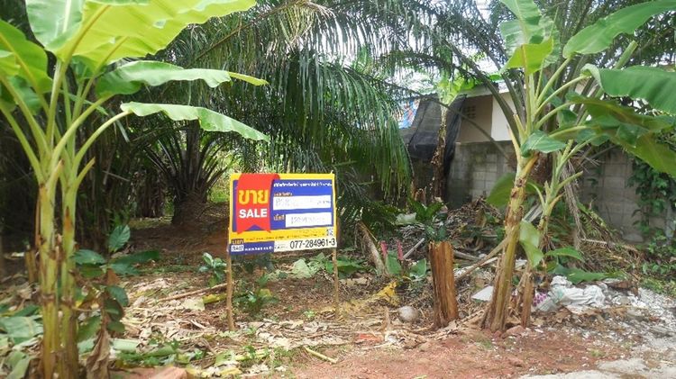 💖 ที่ดิน เมืองสุราษฎร์ธานี ราคาพิเศษ! 💖