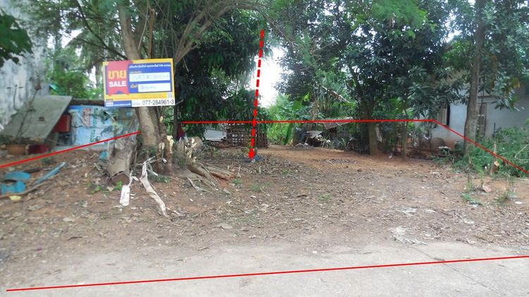 💖 ที่ดิน เมืองสุราษฎร์ธานี ราคาพิเศษ! 💖