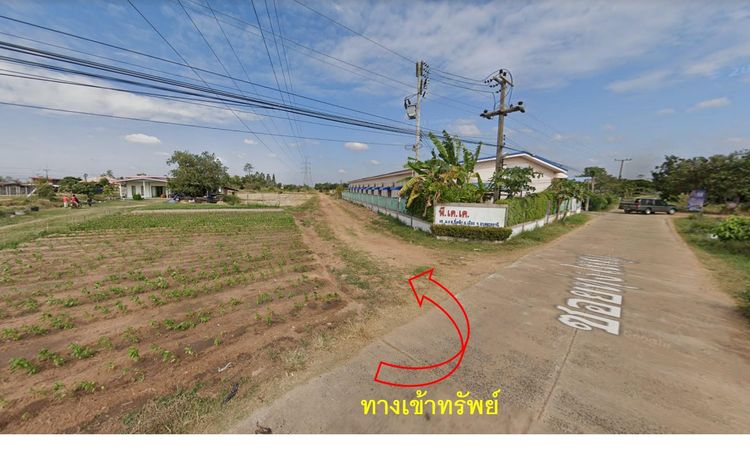 ใช่ 💖 ที่ดิน เมืองอุบลราชธานี ราคาพิเศษ! 💖 รูปที่ 4