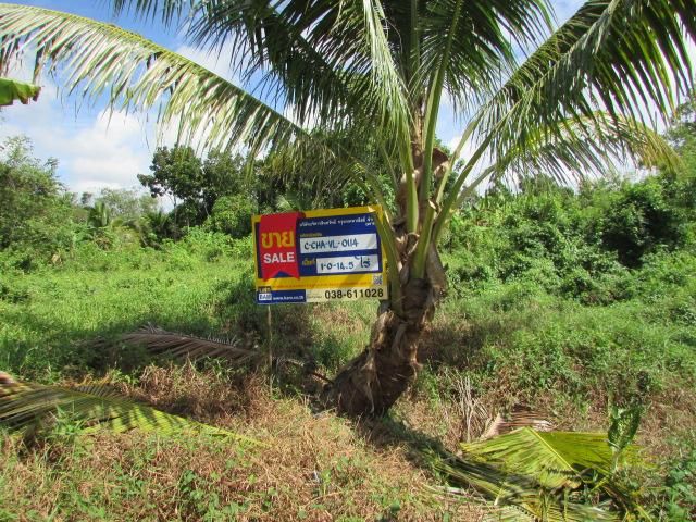 💖 ที่ดิน ท่าใหม่ ราคาพิเศษ! 💖