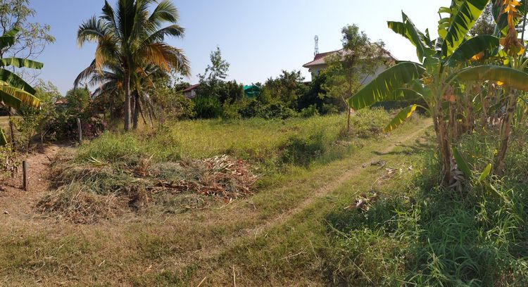 ใช่ 💖 ที่ดิน มัญจาคีรี ราคาพิเศษ! 💖 รูปที่ 3