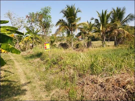 ใช่ 💖 ที่ดิน มัญจาคีรี ราคาพิเศษ! 💖