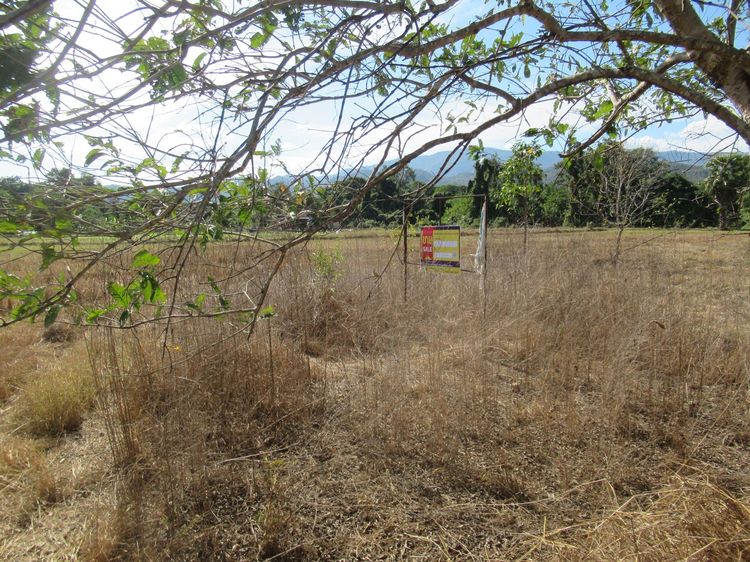 ใช่ 💖 ที่ดิน สบปราบ ราคาพิเศษ! 💖 รูปที่ 3