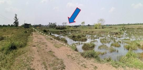 💖 ที่ดิน องครักษ์ ราคาพิเศษ! 💖