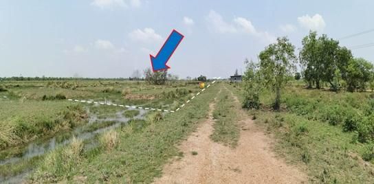 ใช่ 💖 ที่ดิน องครักษ์ ราคาพิเศษ! 💖 รูปที่ 2