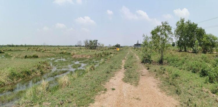 ใช่ 💖 ที่ดิน องครักษ์ ราคาพิเศษ! 💖 รูปที่ 4