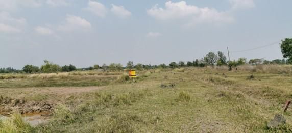 💖 ที่ดิน องครักษ์ ราคาพิเศษ! 💖