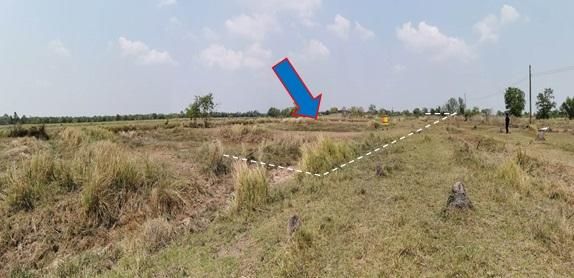 ใช่ 💖 ที่ดิน องครักษ์ ราคาพิเศษ! 💖 รูปที่ 3