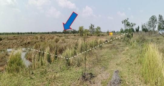 āđāļāđ ð āļāļĩāđāļāļīāļ āļāļāļāļĢāļąāļāļĐāđ āļĢāļēāļāļēāļāļīāđāļĻāļĐ! ð āļĢāļđāļāļāļĩāđ 3