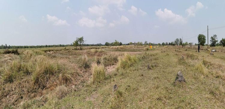 ใช่ 💖 ที่ดิน องครักษ์ ราคาพิเศษ! 💖 รูปที่ 4