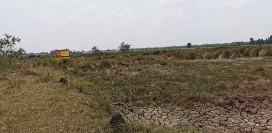 💖 ที่ดิน องครักษ์ ราคาพิเศษ! 💖