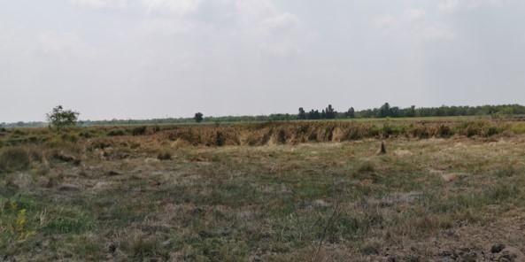 ใช่ 💖 ที่ดิน องครักษ์ ราคาพิเศษ! 💖 รูปที่ 4