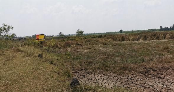 💖 ที่ดิน องครักษ์ ราคาพิเศษ! 💖