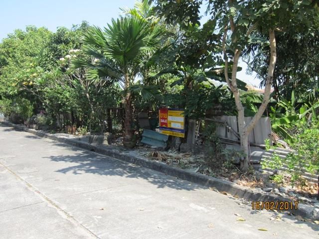 ใช่ 💖 ที่ดิน บางบัวทอง ราคาพิเศษ! 💖 รูปที่ 4