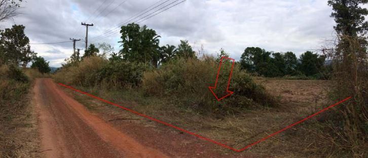 ใช่ 💖 ที่ดิน วังทอง ราคาพิเศษ! 💖 รูปที่ 4