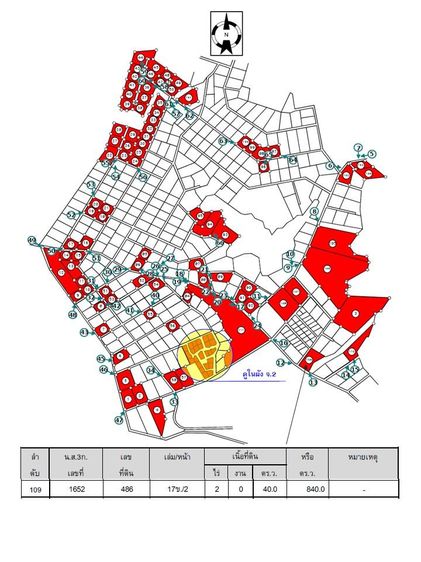 💖 ที่ดิน วังทอง ราคาพิเศษ! 💖