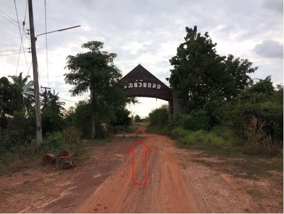 💖 ที่ดิน วังทอง ราคาพิเศษ! 💖