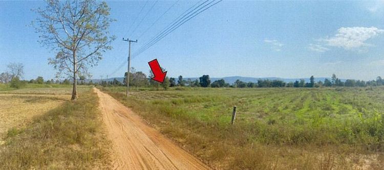 ใช่ 💖 ที่ดิน วังทอง ราคาพิเศษ! 💖 รูปที่ 3