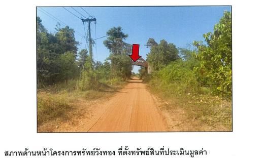 ใช่ 💖 ที่ดิน วังทอง ราคาพิเศษ! 💖 รูปที่ 3