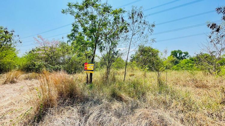 ใช่ 💖 ที่ดิน ภาชี ราคาพิเศษ! 💖 รูปที่ 2