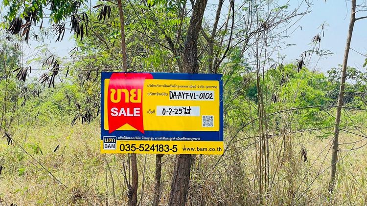 ใช่ 💖 ที่ดิน ภาชี ราคาพิเศษ! 💖 รูปที่ 4