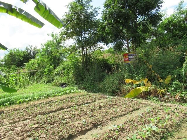 💖 ที่ดิน แม่วาง ราคาพิเศษ! 💖