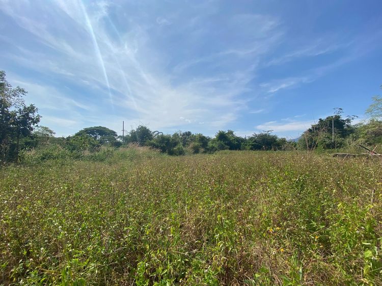 ใช่ 💖 ที่ดิน แม่วาง ราคาพิเศษ! 💖 รูปที่ 4