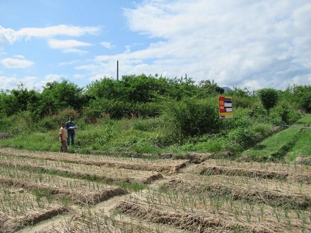 💖 ที่ดิน แม่วาง ราคาพิเศษ! 💖