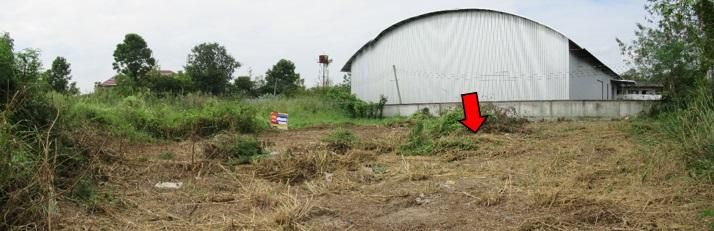 ใช่ 💖 ที่ดิน สารภี ราคาพิเศษ! 💖 รูปที่ 2