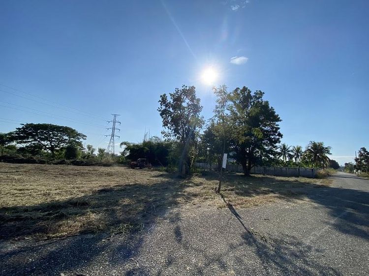 ใช่ 💖 ที่ดิน สันป่าตอง ราคาพิเศษ! 💖 รูปที่ 4