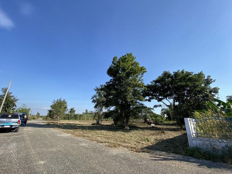 ใช่ 💖 ที่ดิน สันป่าตอง ราคาพิเศษ! 💖 รูปที่ 3