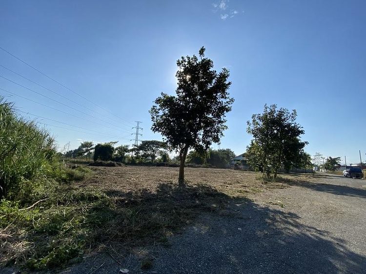 ใช่ 💖 ที่ดิน สันป่าตอง ราคาพิเศษ! 💖 รูปที่ 3