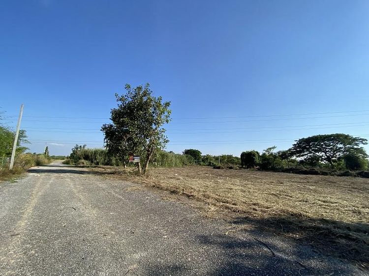 ใช่ 💖 ที่ดิน สันป่าตอง ราคาพิเศษ! 💖 รูปที่ 2